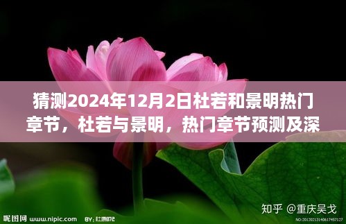 杜若與景明熱門章節(jié)預(yù)測深度分析，2024年12月2日展望