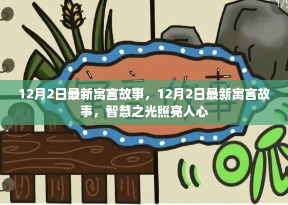 12月2日最新寓言故事，智慧之光照耀人心