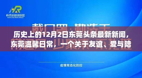 東莞頭條新聞，友誼與愛在冬日綻放——十二月二日的溫馨日常故事