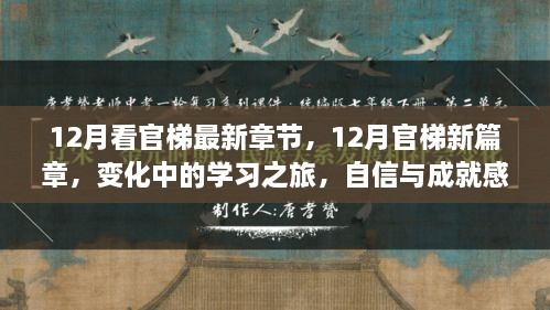 12月官梯新篇章，學(xué)習(xí)之旅的變化與自信成就之源