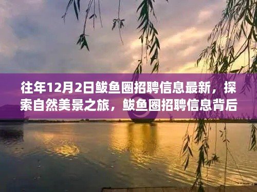 揭秘鲅魚圈招聘信息背后的自然美景之旅，寧靜秘境等你來探索