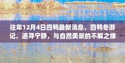 往年12月4日四鴨冬游記，追尋寧?kù)o與美景的不解之緣