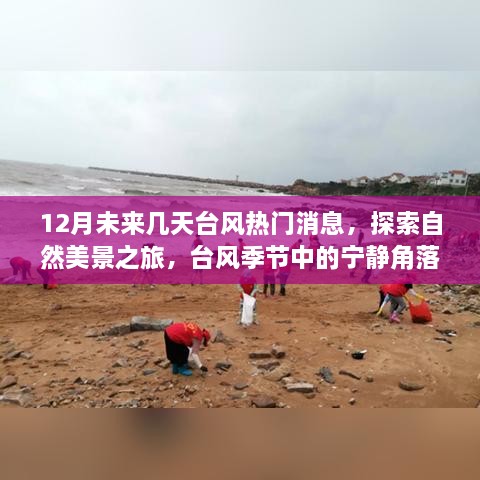 12月臺風熱門消息，自然美景探索之旅——臺風季節(jié)的寧靜與冒險