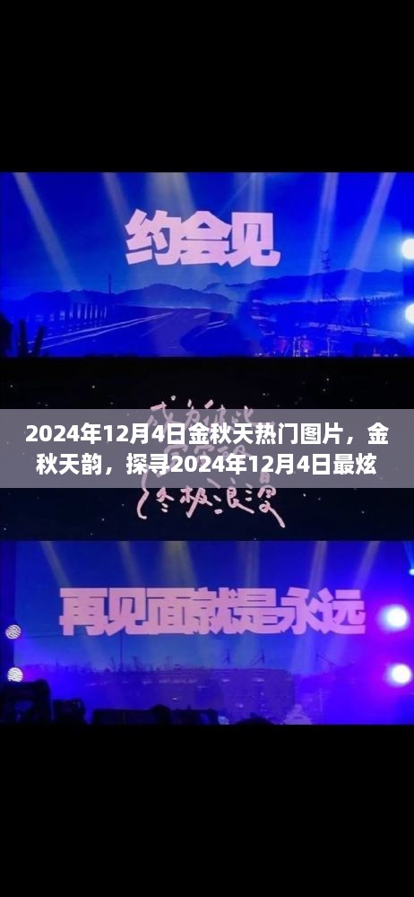 探尋金秋韻味，2024年12月4日熱門(mén)圖片精選