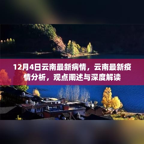 云南疫情最新動態(tài)，深度解讀與分析報告（12月4日更新）