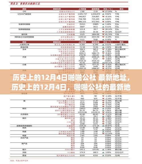 歷史上的12月4日，啪啪公社的最新地址及其背后的故事揭秘（科普文章）