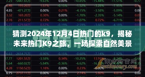 揭秘未來熱門K9之旅，啟程于2024年12月4日的自然美景探索之旅