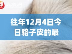 12月4日貉子皮最新價(jià)格及歷年趨勢解析，市場動(dòng)態(tài)一覽