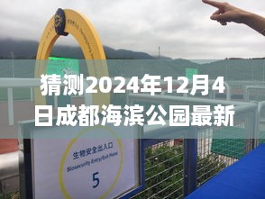 探秘時(shí)光角落，成都海濱公園2024年12月4日的最新動(dòng)態(tài)與溫馨日常揭秘