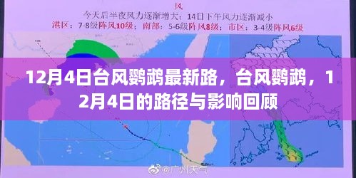 臺(tái)風(fēng)鸚鵡最新路徑與影響回顧，12月4日回顧報(bào)告