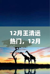 追尋自然之旅，王清遠(yuǎn)在十二月的腳步與心靈之旅