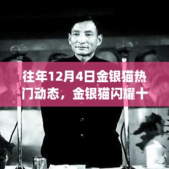 歷年金銀貓閃耀十二月，深度回顧歷年12月4日的熱門動(dòng)態(tài)