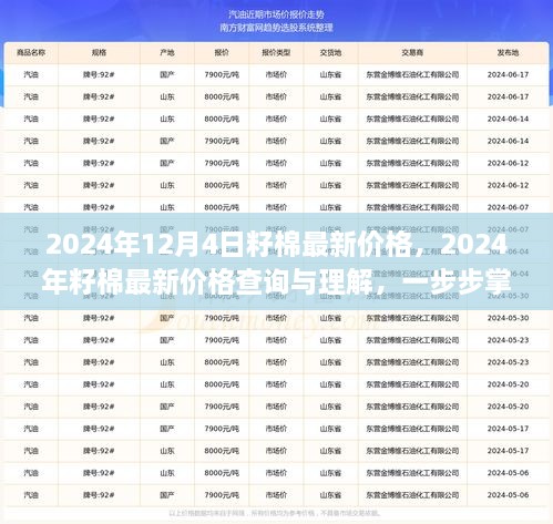 2024年12月4日籽棉最新價格，2024年籽棉最新價格查詢與理解，一步步掌握行情分析技能