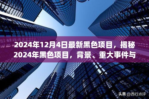 揭秘，2024年黑色項(xiàng)目的背景、重大事件與深遠(yuǎn)影響全解析