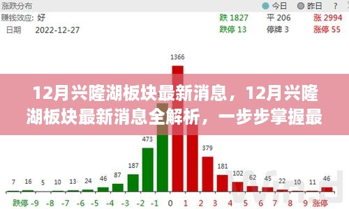 掌握興隆湖板塊最新動態(tài)，全面解析十二月最新消息