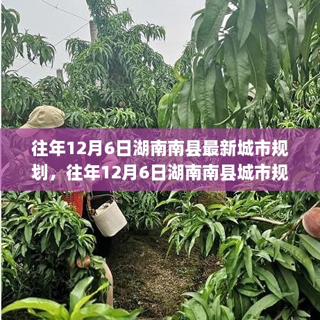 湖南南縣往年城市規(guī)劃揭秘，洞悉最新藍(lán)圖與發(fā)展趨勢(shì)