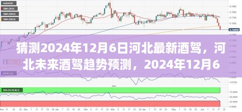 河北未來(lái)酒駕趨勢(shì)預(yù)測(cè)，以2024年視角洞察酒駕現(xiàn)狀與發(fā)展展望