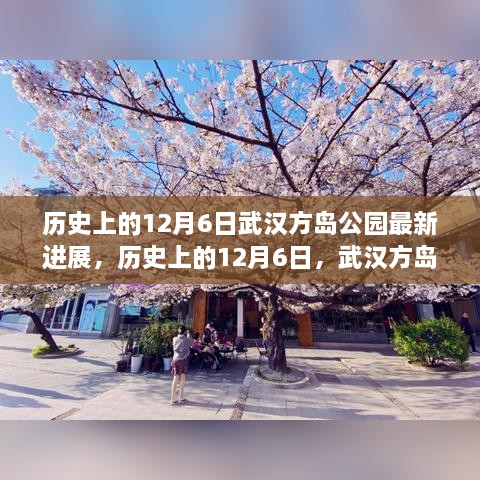 武漢方島公園最新進(jìn)展深度解析，歷史上的12月6日回顧與進(jìn)展報(bào)告