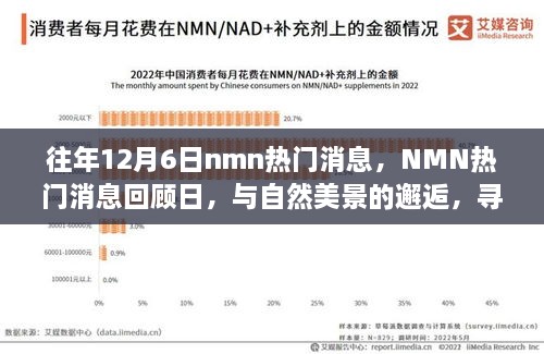 往年NMN熱門消息回顧日，與自然美景的邂逅，心靈寧靜之旅啟程