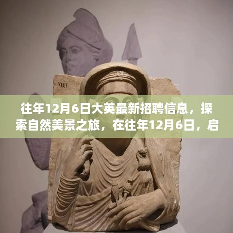 往年12月6日，最新招聘信息與自然美景探索之旅的雙重驚喜，啟程尋找工作與心靈的寧靜