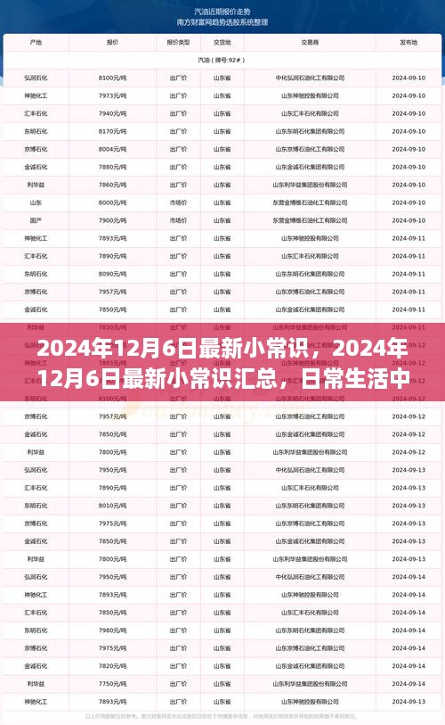 2024年12月6日最新小常識(shí)一覽，日常生活中的新奇知識(shí)匯總