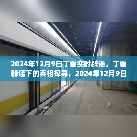 2024年視角下的丁香實(shí)時(shí)辟謠，探尋真相之旅