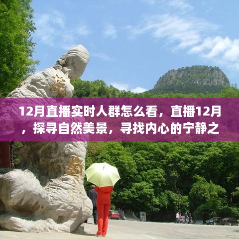 12月直播探尋自然美景，探尋內(nèi)心寧?kù)o之旅的實(shí)時(shí)觀眾洞察