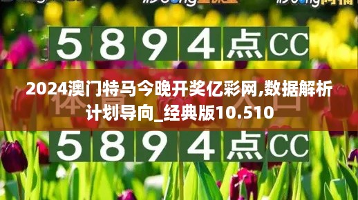 2024澳門特馬今晚開獎億彩網,數(shù)據(jù)解析計劃導向_經典版10.510