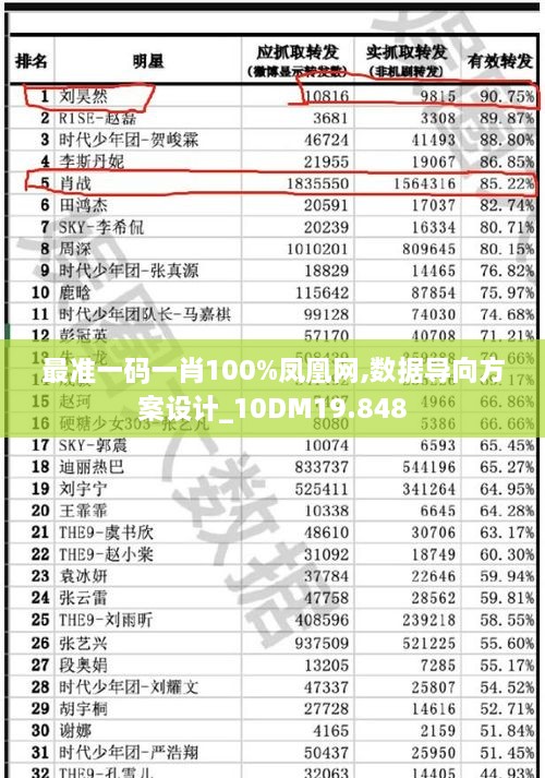 最準一碼一肖100%鳳凰網,數據導向方案設計_10DM19.848