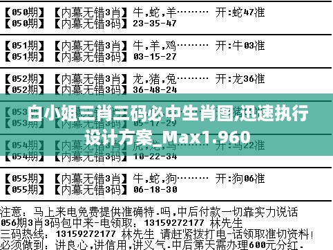 白小姐三肖三碼必中生肖圖,迅速執(zhí)行設計方案_Max1.960