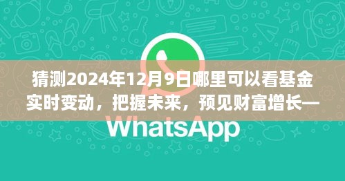 見證未來財富增長，把握基金實時變動之旅，2024年12月9日揭曉！