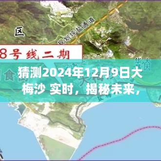 揭秘大梅沙海域未來生態(tài)與環(huán)境展望，2024年12月9日海洋生態(tài)實時揭秘