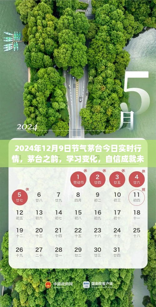 茅臺之韻，2024年12月9日實(shí)時行情啟示錄，洞悉變化，自信筑夢未來