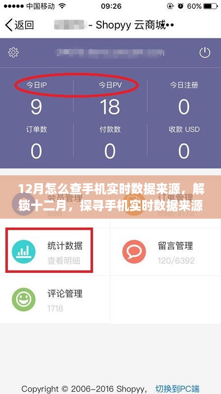 探尋手機實時數(shù)據(jù)來源的奧秘，十二月開啟自信與成就之旅的指南