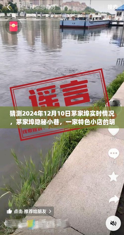 茅家埠隱秘小巷特色小店，明日探秘之旅揭秘2024年12月10日實(shí)時(shí)情況