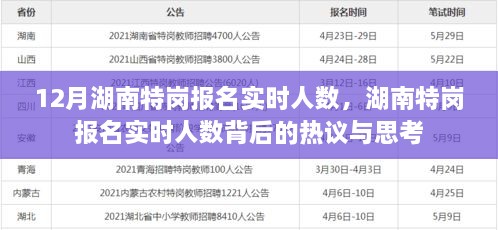 湖南特崗報(bào)名實(shí)時(shí)人數(shù)熱議與思考，背后的真相與啟示