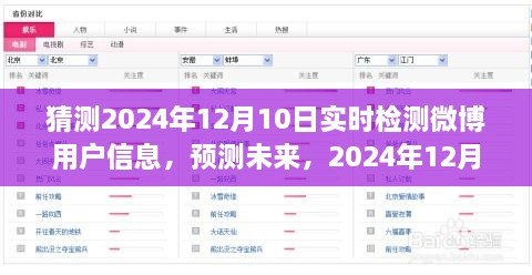 2024年12月10日微博用戶信息實(shí)時(shí)檢測探析，預(yù)測未來的深度洞察