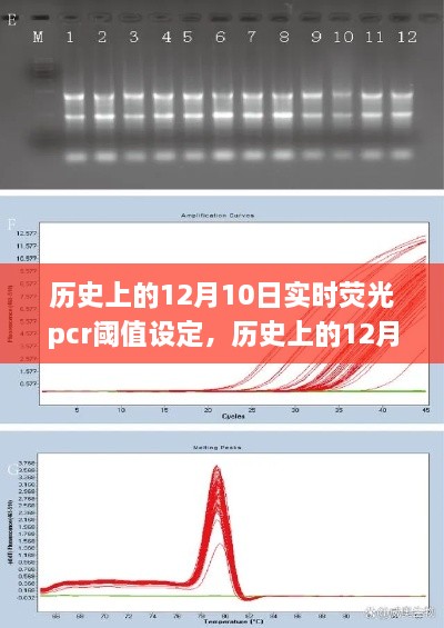 歷史上的12月10日，實(shí)時(shí)熒光PCR閾值設(shè)定的探索之旅