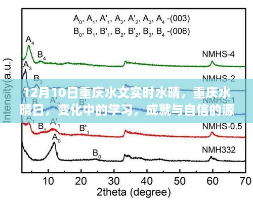 重慶水晴日下的學(xué)習(xí)成就與自信之源，變化中的探索與成長之路