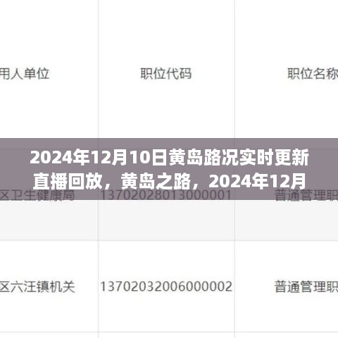 2024年12月10日黃島路況實(shí)錄與深度解讀，實(shí)時(shí)更新直播回放