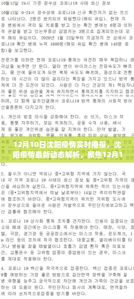 沈陽疫情最新動態(tài)解析，聚焦實時播報與個人觀點（12月10日更新）