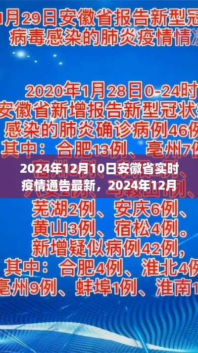 2024年12月10日安徽省實時疫情通告，最新分析與觀察