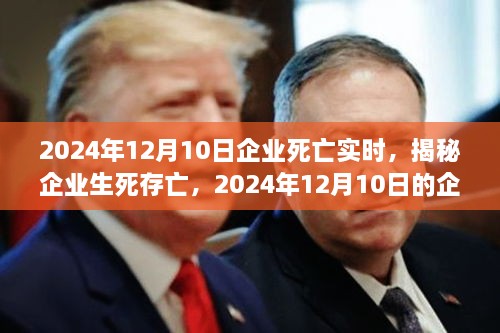 揭秘企業(yè)生死存亡，企業(yè)死亡實(shí)時(shí)真相揭秘（2024年12月10日）