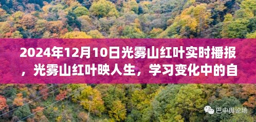 光霧山紅葉映人生，自信與成就之旅的實時播報（2024年12月）