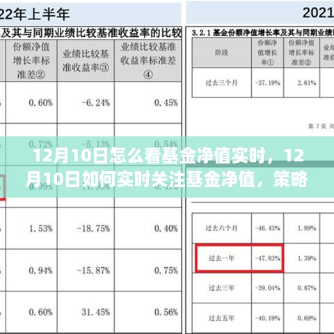 12月10日基金凈值實時關注策略與技巧，如何掌握基金動態(tài)