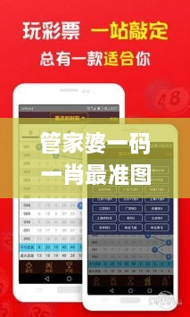 管家婆一碼一肖最準(zhǔn)圖片,數(shù)據(jù)實施整合方案_SHD7.172