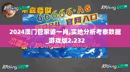 2024澳門(mén)管家婆一肖,實(shí)地分析考察數(shù)據(jù)_游戲版2.232