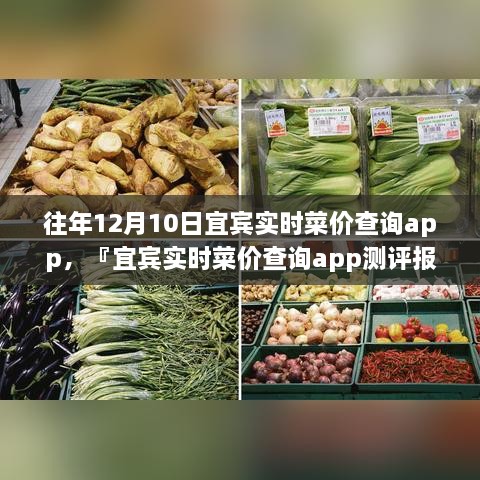 宜賓實(shí)時(shí)菜價(jià)查詢(xún)app歷年功能深度解析與用戶(hù)體驗(yàn)洞察測(cè)評(píng)報(bào)告，宜賓歷年菜價(jià)變遷一覽無(wú)余！