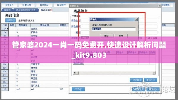 管家婆2024一肖一碼免費(fèi)開(kāi),快速設(shè)計(jì)解析問(wèn)題_kit9.803