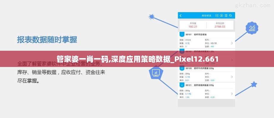 管家婆一肖一碼,深度應用策略數據_Pixel12.661